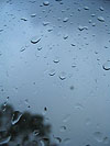 raindrops.jpg