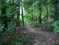 trail.jpg
