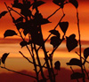 yourpics_devon-sunrise_kevin-burgin.jpg