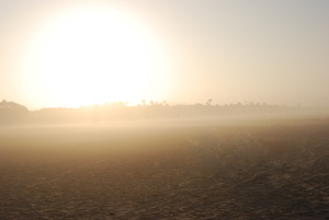 sun.jpg