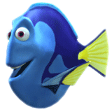 Dory