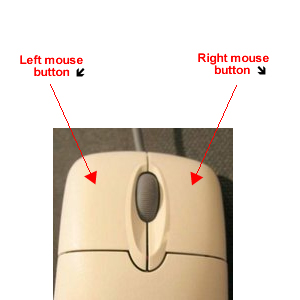 mouse