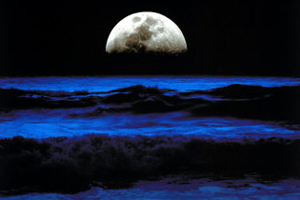 universe